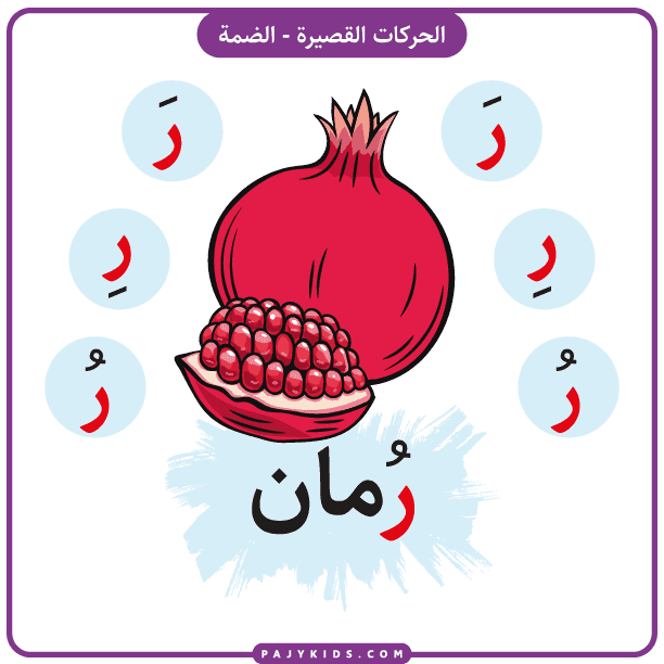 أحرف العربية - بطاقة حرف الراء بالحركات (حركة الضمة) - رُمان