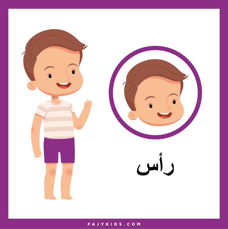 أنشطة تفاعلية باستخدام بطاقات أجزاء الانسان للأطفال