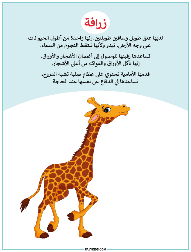 أنشطة للاطفال لتطوير القدرات الذهنية والحركية