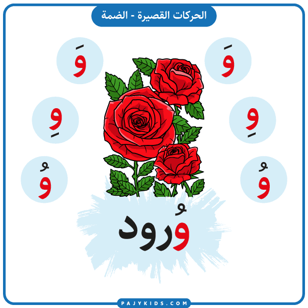 الحروف الهجائية العربية - بطاقة تعلم حرف الواو بالحركات - حركة الضمة