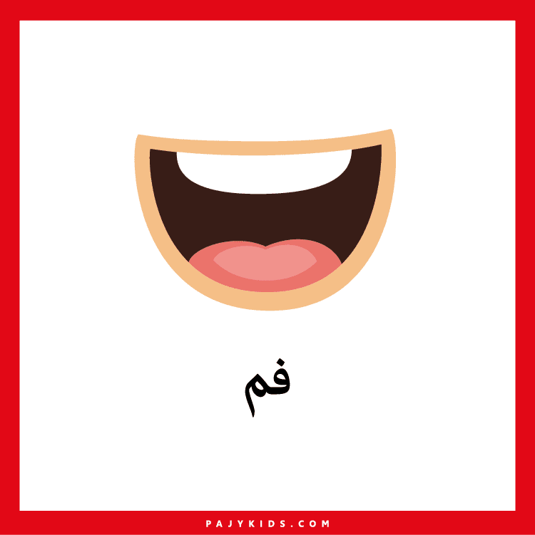 بطاقات تعليم أجزاء الجسم للاطفال PDF