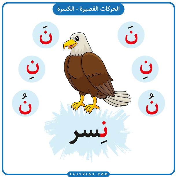 تعلم اطفال - بطاقة حرف النون بالحركات - (حركة الكسرة)