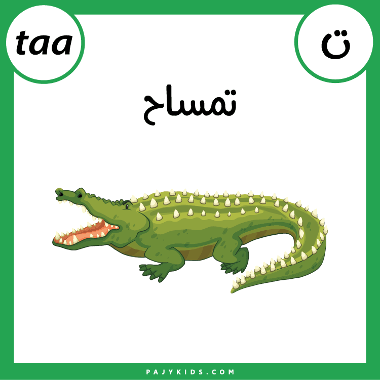 تعلم الحروف لأطفال الروضة