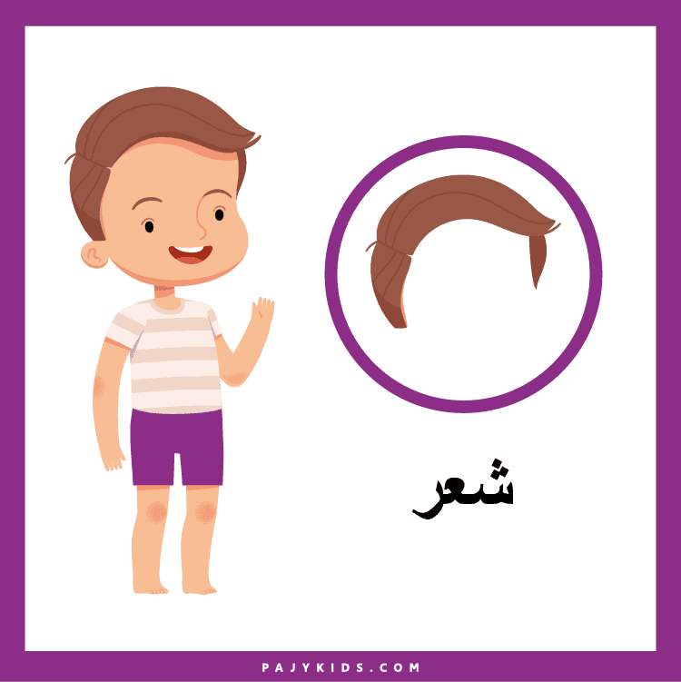 تعليم أجزاء الانسان في مرحلة الطفولة المبكرة
