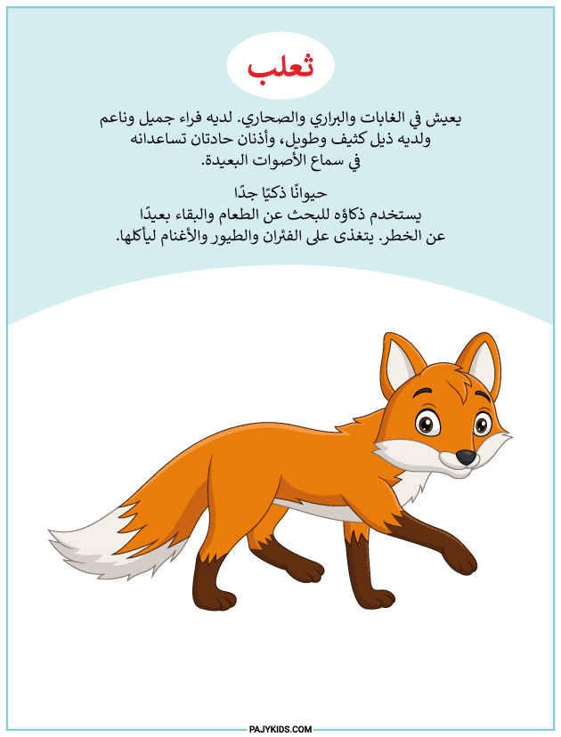 تعليم الاطفال أساسيات التعلم من خلال تدريبات التتبع
