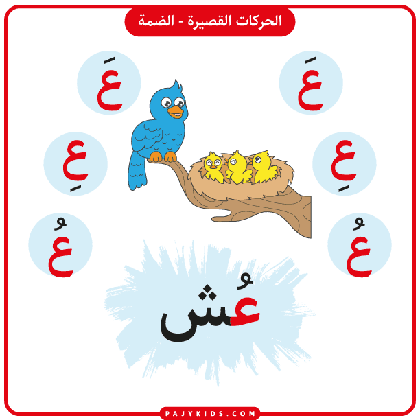تعليم الاطفال الحروف - بطاقة تعليم حرف العين بالحركات (حركة الضمة وكلمة عُش)