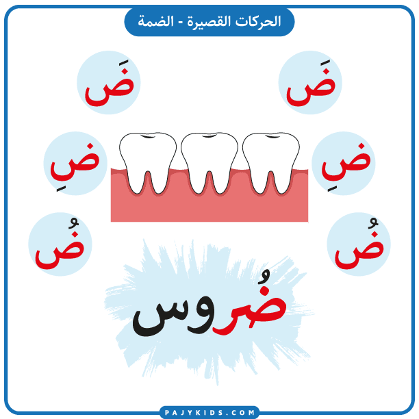 تعليم الحروف العربية - بطاقة حرف الضاد بالحركات - حركة الضمة وكلمة ضُروس