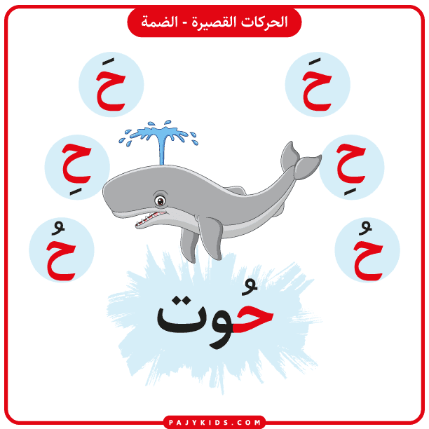 تعليم الحروف العربية للاطفال PDF - بطاقة حرف بالحركات - حركة الضمة