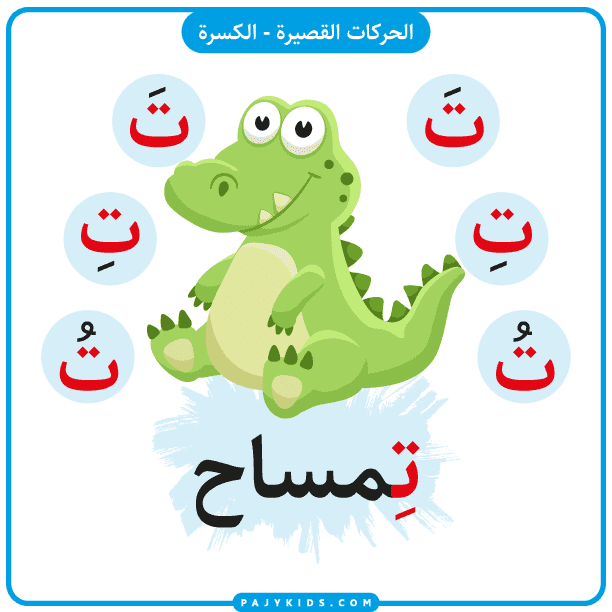 حروف الهجاء - بطاقة حرف التاء بالحركات - حركة الكسرة - كلمة تمساح