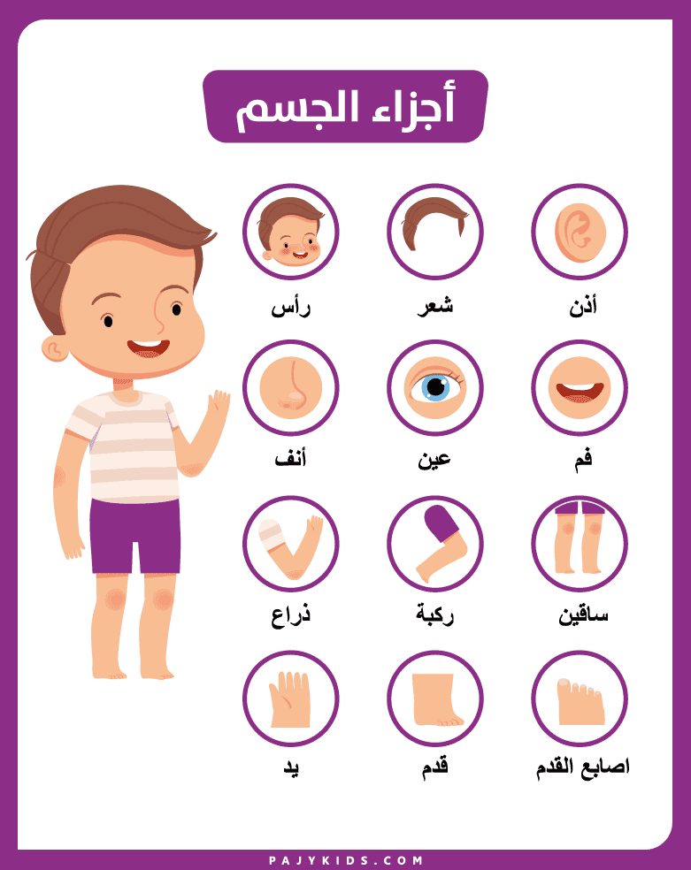 طرق مبتكرة لتعليم أجزاء الانسان في الصفوف المبكرة