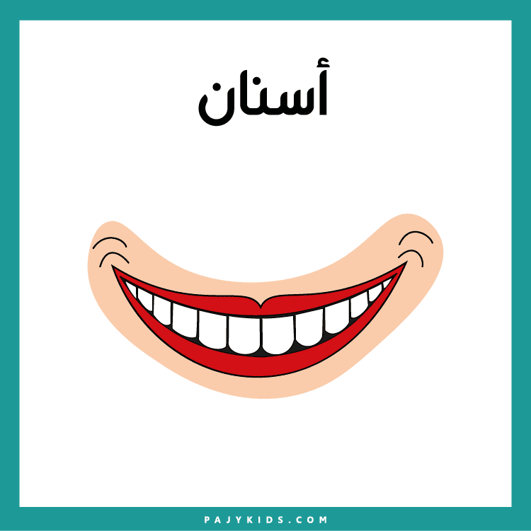 بطاقات تعلم أجزاء الرأس لرياض الأطفال