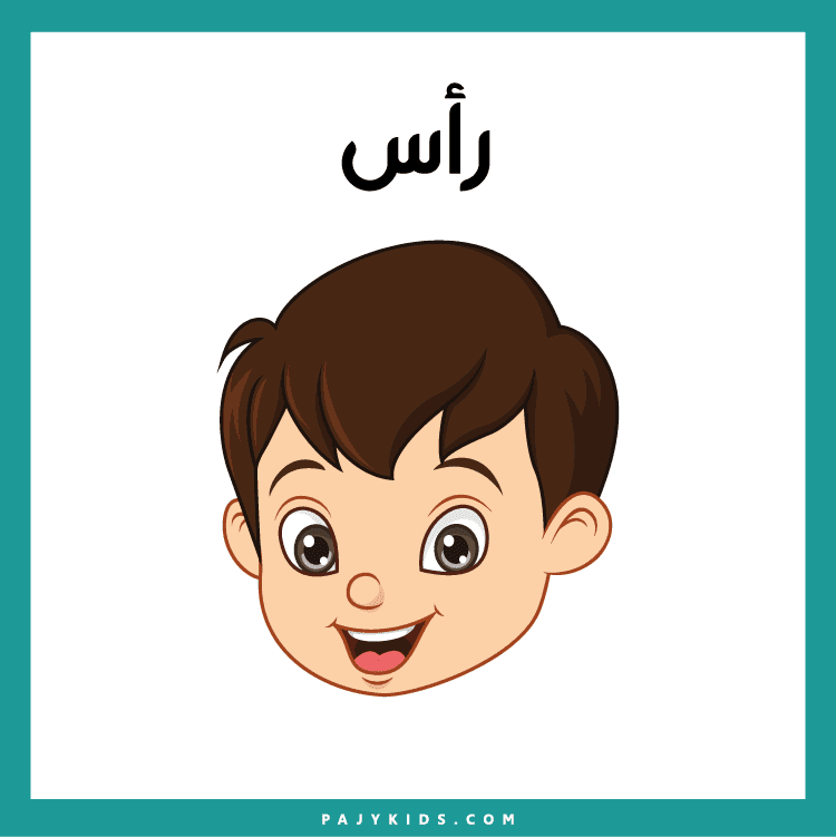 تعلم أجزاء الوجه بالعربية من خلال بطاقات تعليمية جذابة