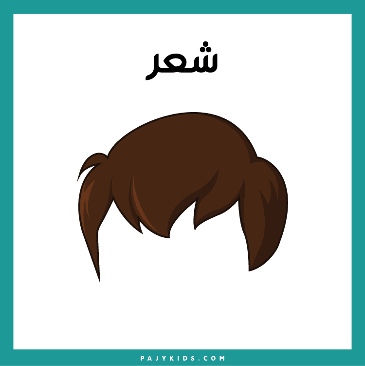 تعليم أجزاء الرأس بالصور لمرحلة الروضة