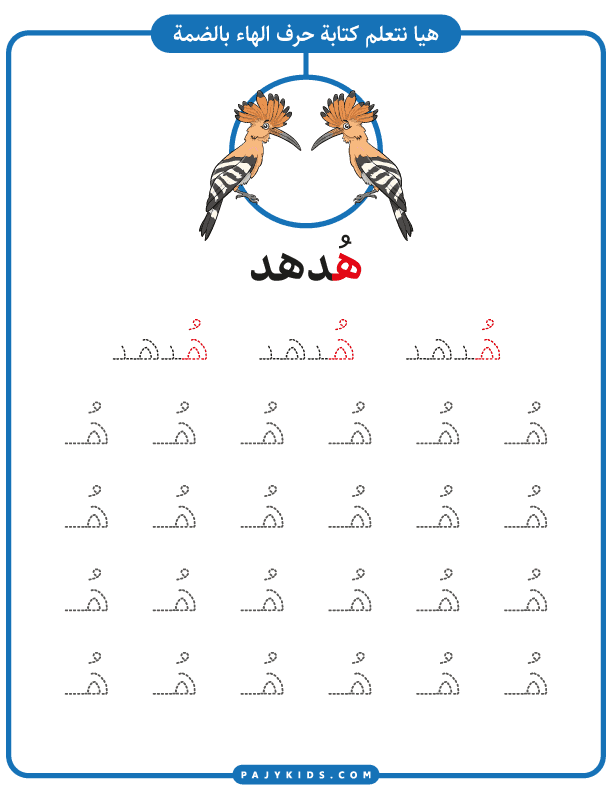 تعليم الاطفال - نشاط كتابة حرف الهاء بالحركات (حركة الضمة وكلمة هُدهد)