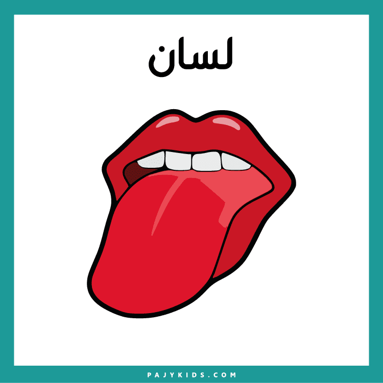 خطوات سهلة لتعليم أجزاء الوجه للأطفال الصغار