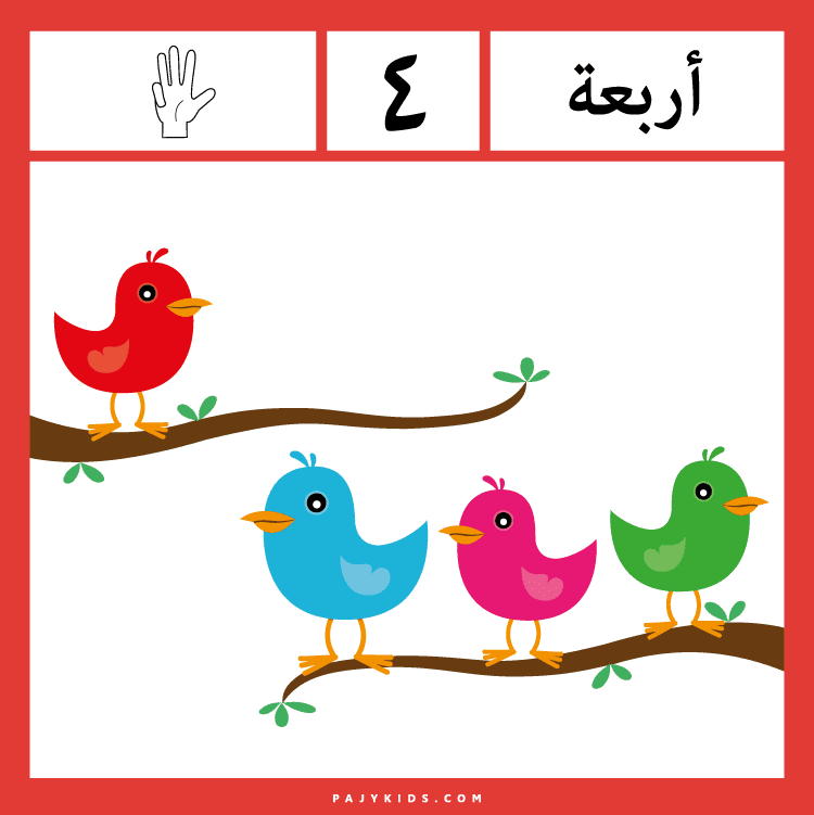 تعلم الأرقام العربية - رقم أربعة