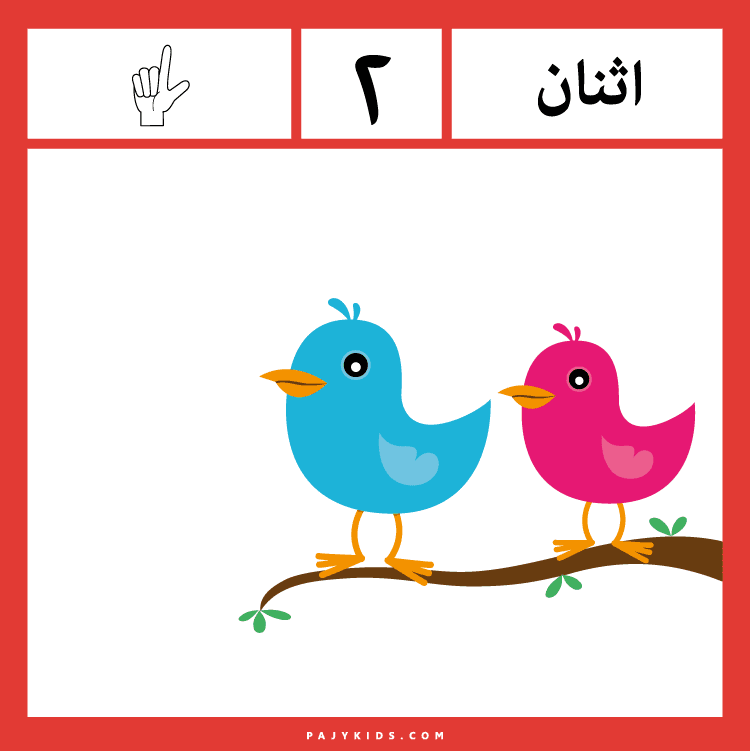 الأرقام: بطاقة ملونة تحتوي على صورة لعصفورين على غصن، بجانب الرقم (2) كتابيًا ورقميًا.
