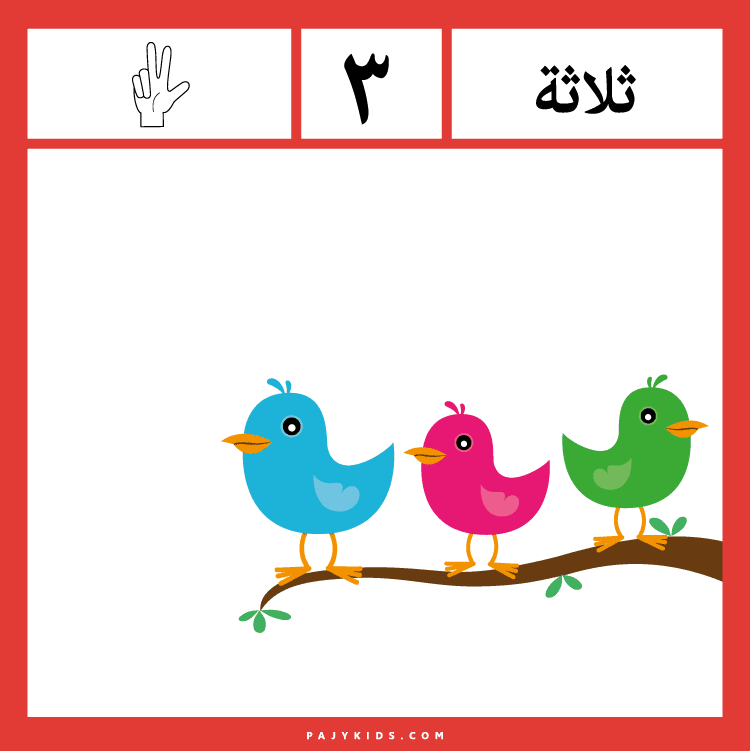 تعلم الأرقام العربية - رقم ثلاثة