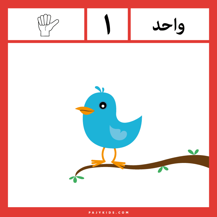 تعلم الأرقام العربية - رقم واحد