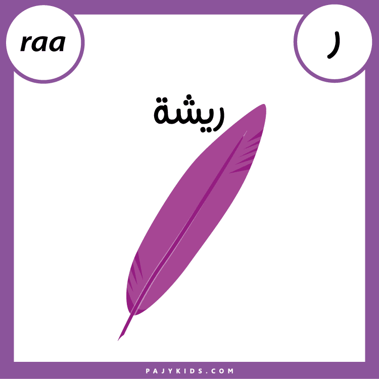 Arabic flash cards for kindergarten
