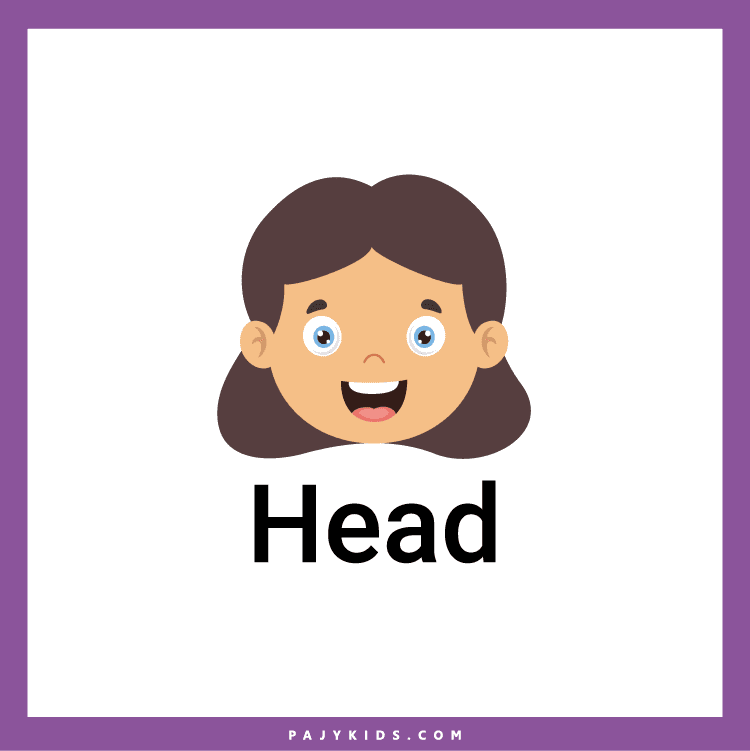 Boost Vocabulary with Human Body Flashcards at Home