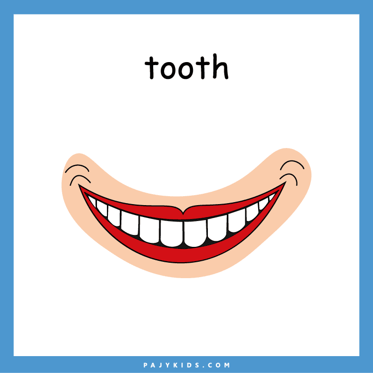 Boosting Vocabulary with a Head Flashcard Learning Approach