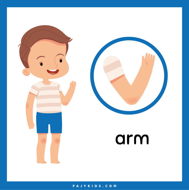 Developing Language Skills with Body Flashcards