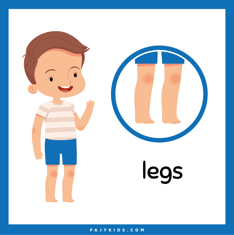 Free Resources: Downloadable Body cards for Teachers