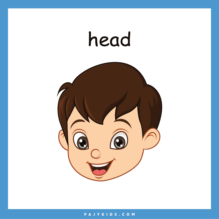 Head Flashcard to Teach Kids Body Vocabulary