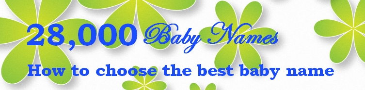 Historical Trends – Top 100 Baby Names (2000–2009)