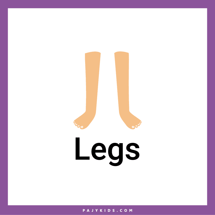 Human Body Parts Worksheet for kindergarten