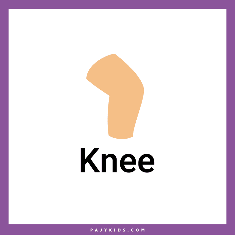 Human Body kindergarten worksheets