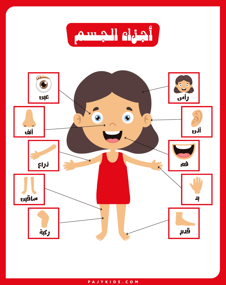 Interactive Activity with Learn Arabic Flashcards for Preschoolers