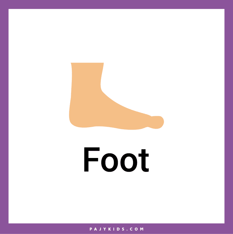 My Body Parts worksheet for kindergarten
