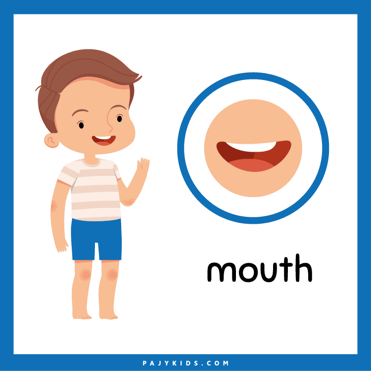 Printable Body Flashcards for At-Home Learning Activities
