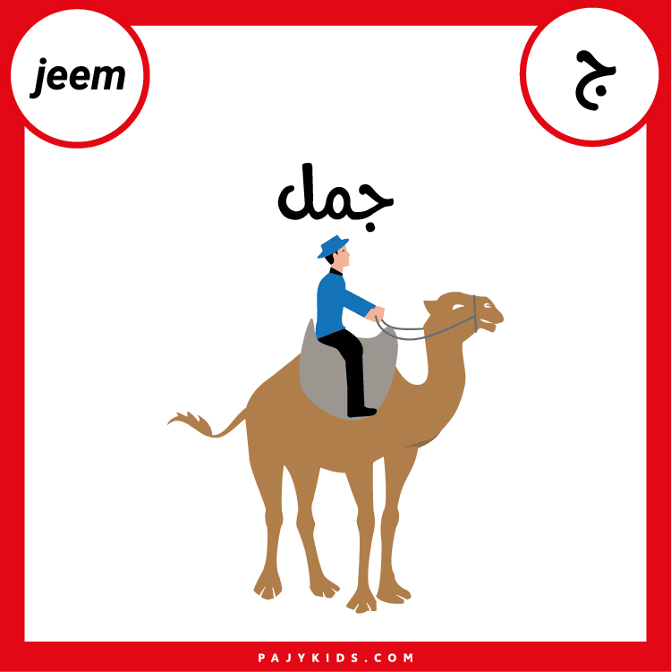 Printable alphabet flashcards