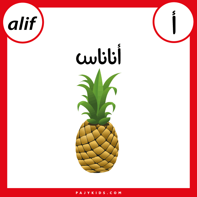 Step-by-Step Learning with Arabic Alphabet Flashcards