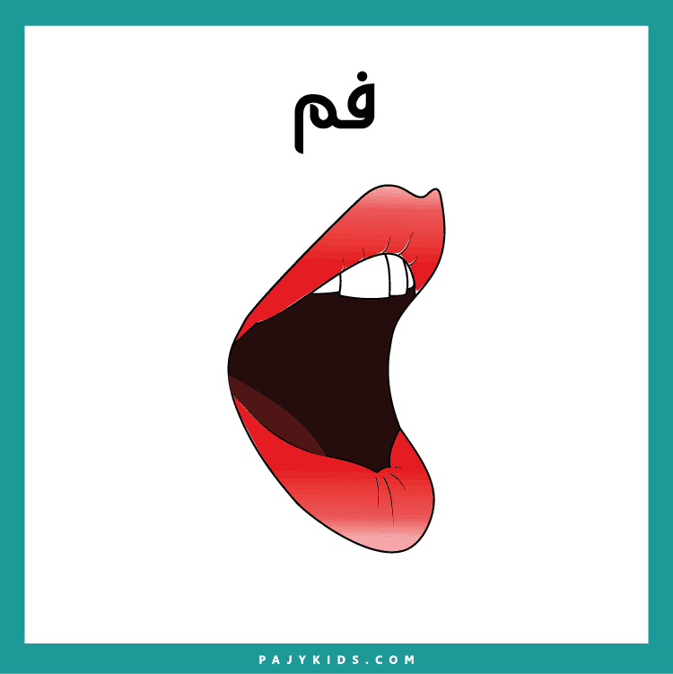 Teach Kids the Human Face in Arabic with Picture Cards