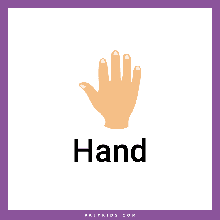 body parts pictures for kindergarten
