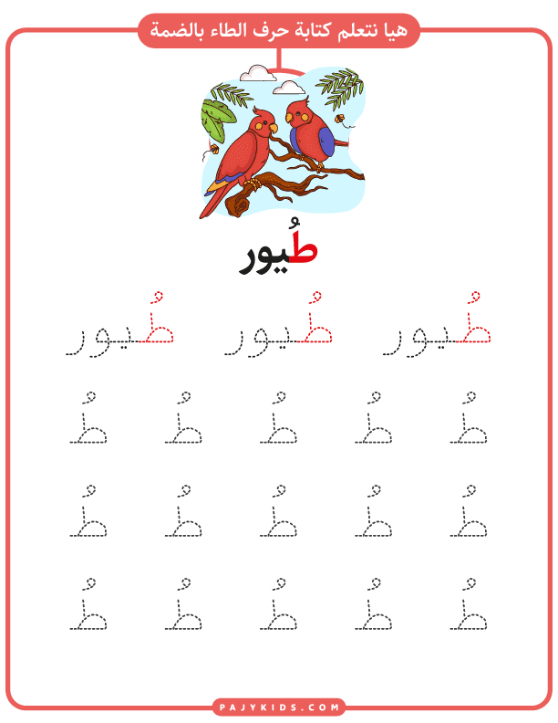 Explore the Arabic Alphabet Taa with Interactive Worksheets