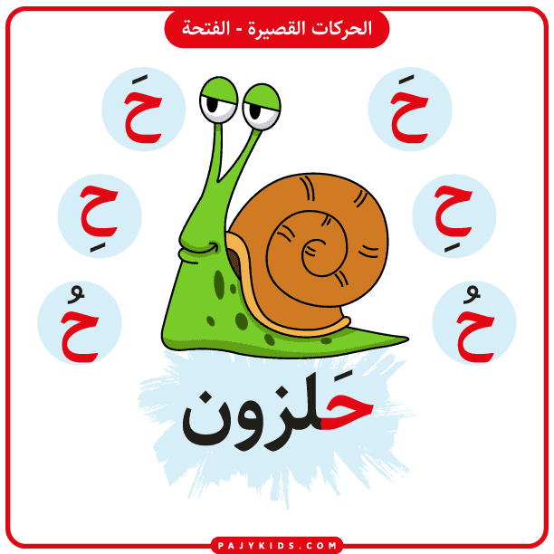 Flashcard: Arabic Letter Ha with Fatḥa – Word "Halazoon" (Snail)
