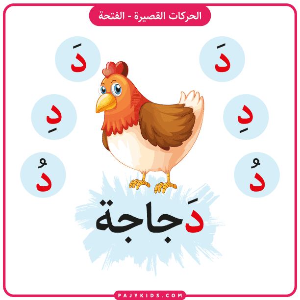 Flashcard: Daal with Fatḥa and the Word "Dajajah" (Chicken)