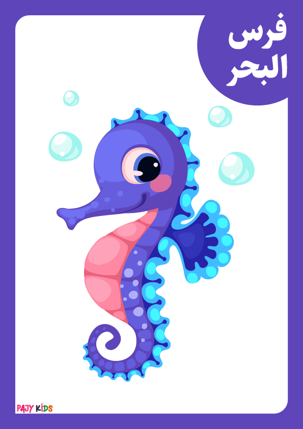 Fun Activities Using Sea Animals Flashcards for Kindergarten
