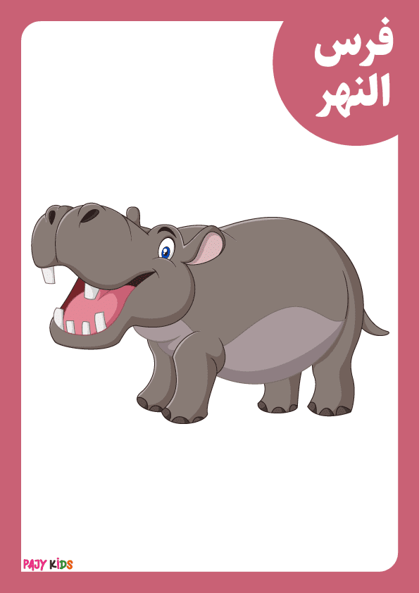 Fun Learning with Arabic Jungle Animals Flashcards
