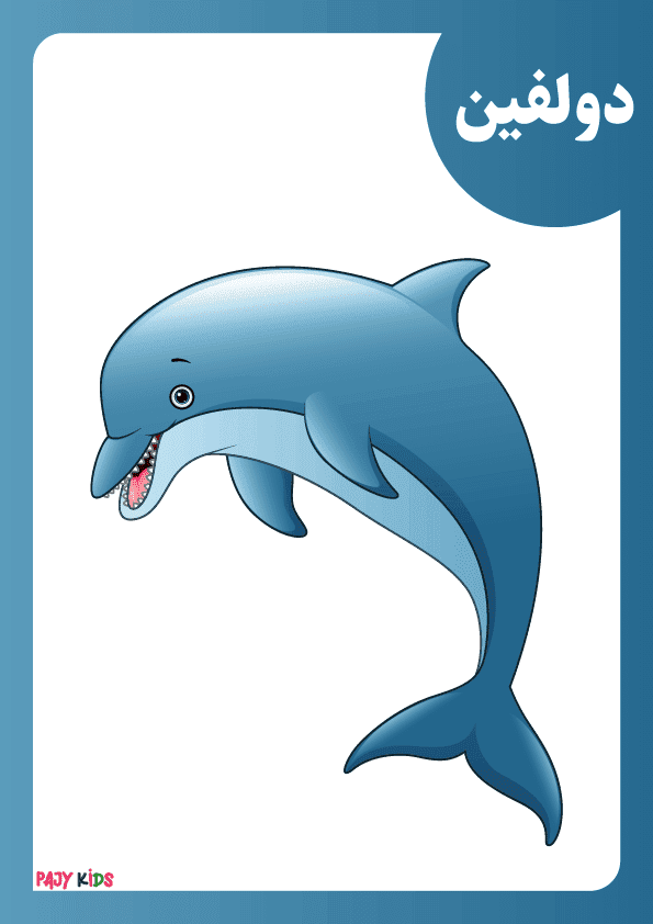 Interactive Sea Animals Flashcards for Preschoolers