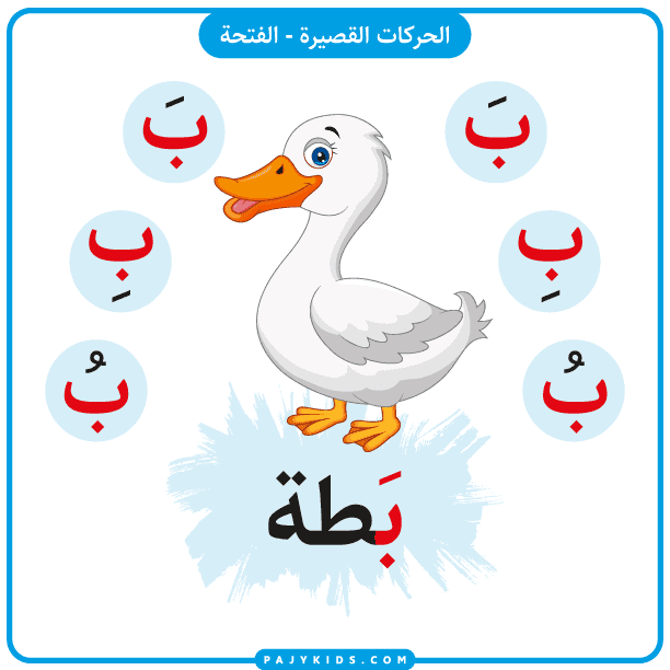 Introducing the Arabic Letter Baa with Fatḥa – Word "Baṭṭa" (Duck)
