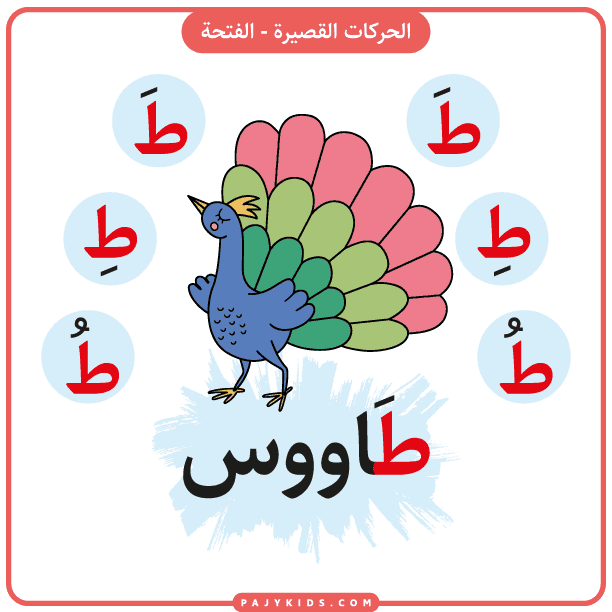 Learn the Arabic Alphabet Taa with Tracing and Coloring