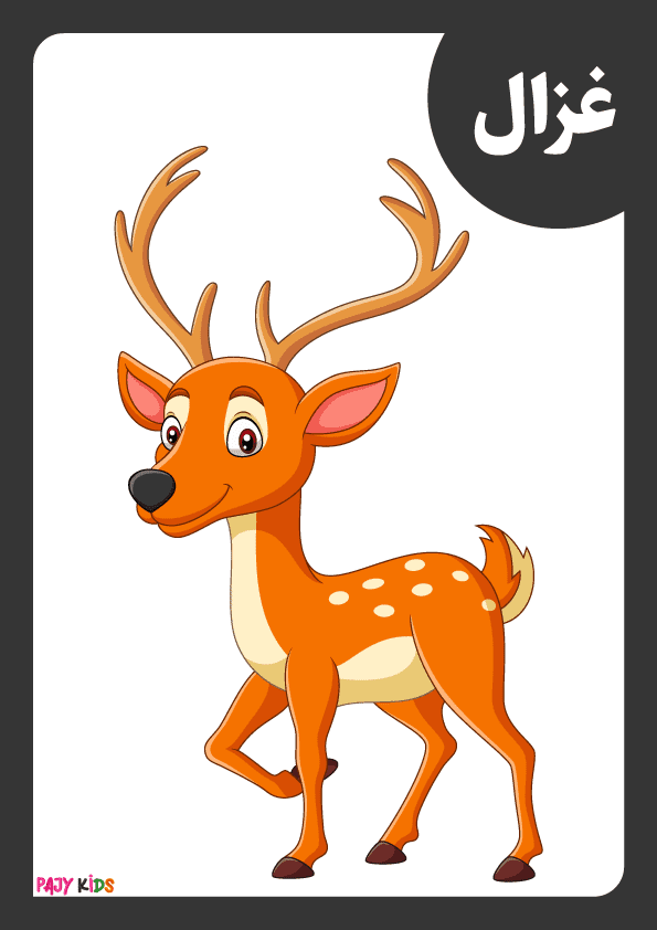 Printable Jungle Animals Flashcards for Arabic Language Learners