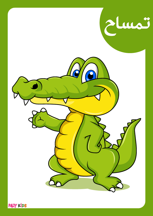 Teach Arabic Animal Names with Forest Animals Flashcards