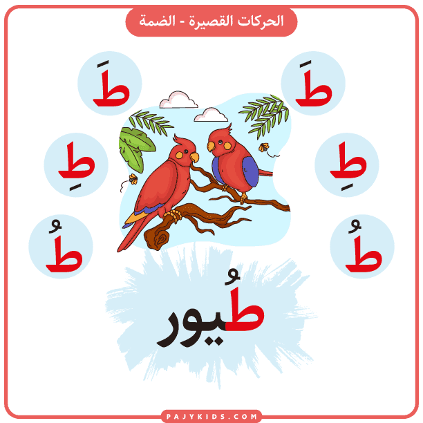 Teaching the Arabic Alphabet Taa Through Fun Activities
